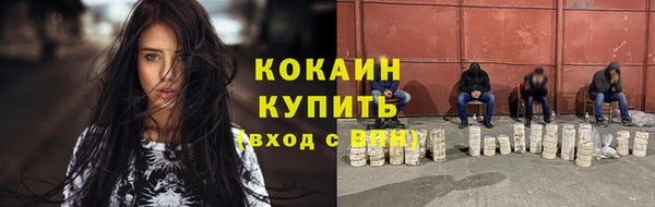 метадон Елизово