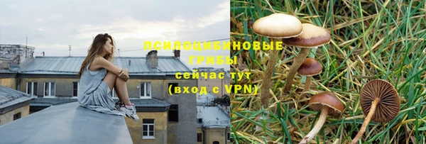 соль курить ск Елабуга